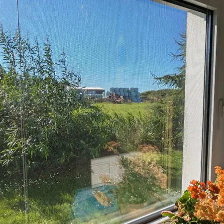 Apartment Malte